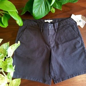 Vans NWT charcoal Grey Shorts